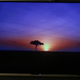 Illustration for article titled 4K TV Throwdown, Part One: How the Sharp UD27 Stacks Up
